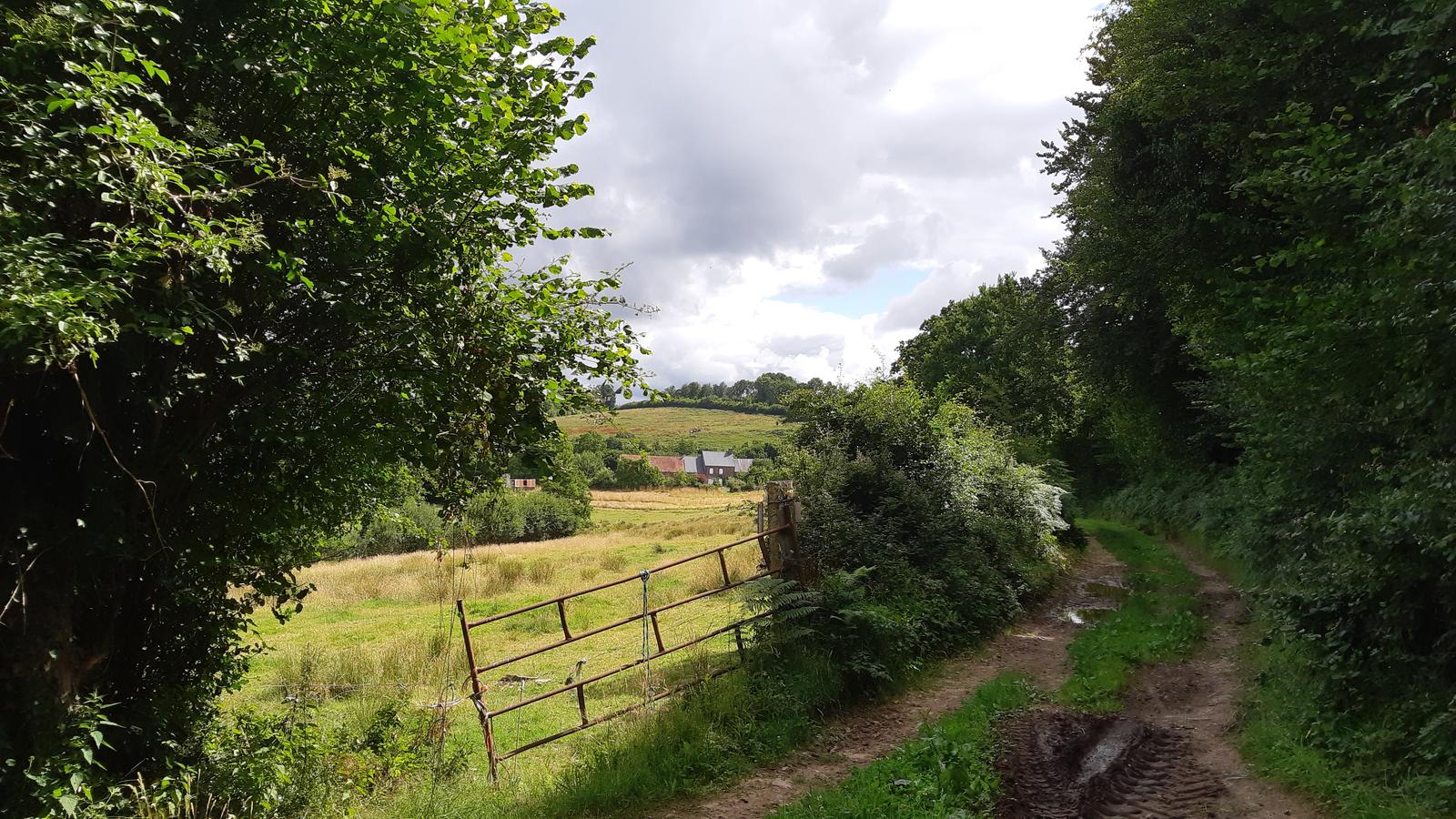 En route vers le festival «Les pluies de juillet»